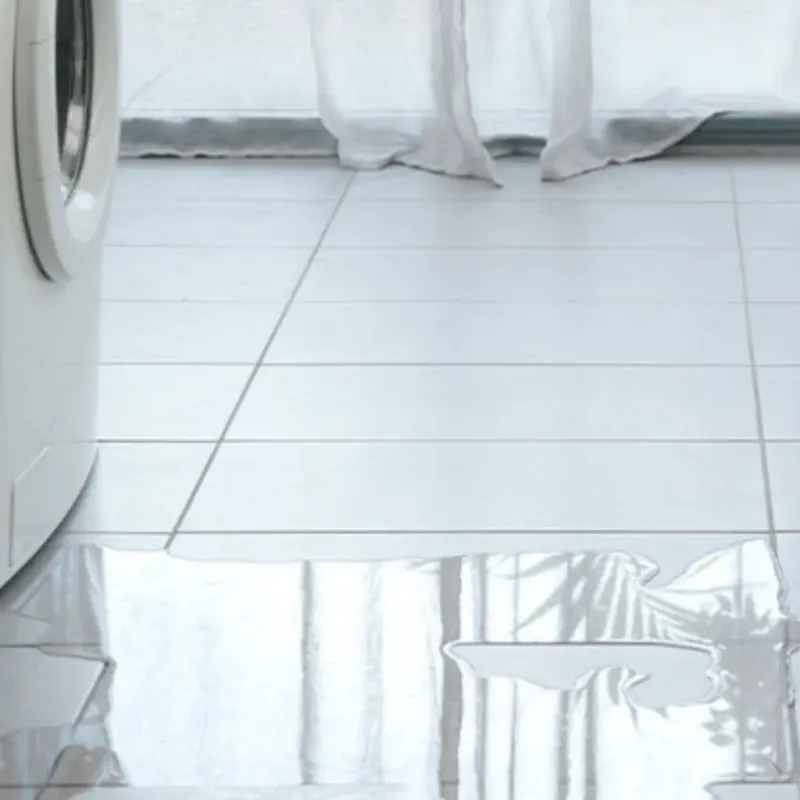 Appliance Leak Cleanup in Encino, CA