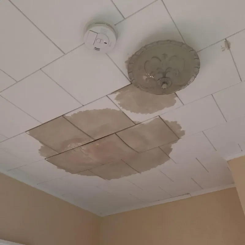 Ceiling Water Damage Repair in Encino, CA