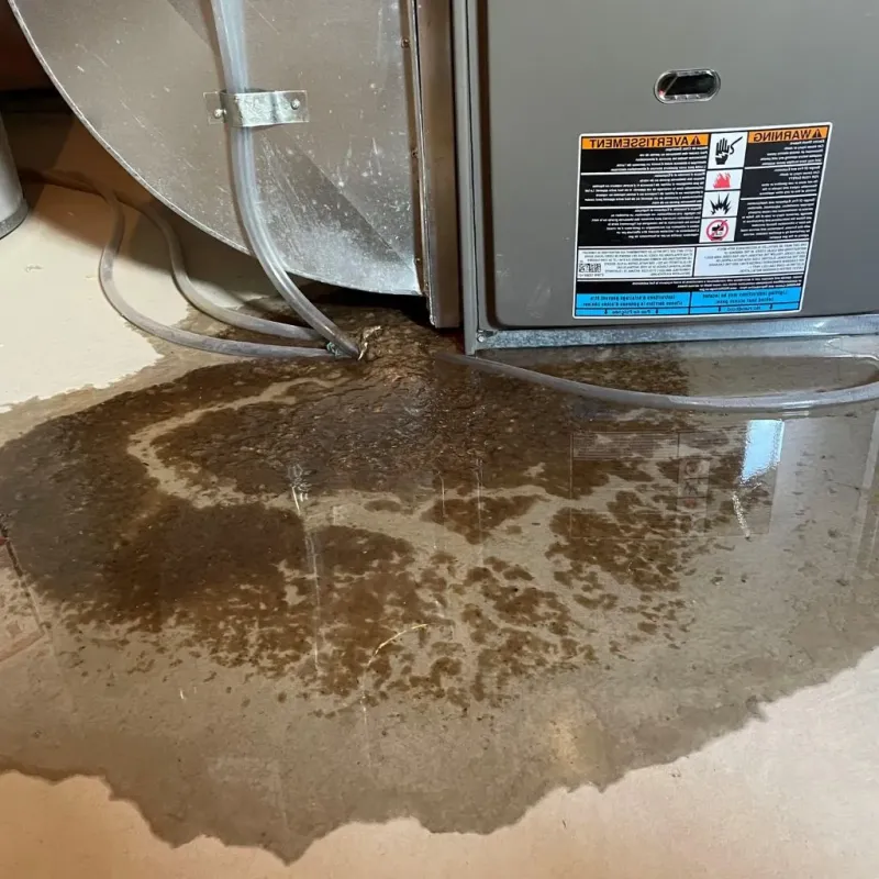 Pipe Burst and Leak Restoration in Encino, CA